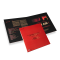 Vinyl_003.png